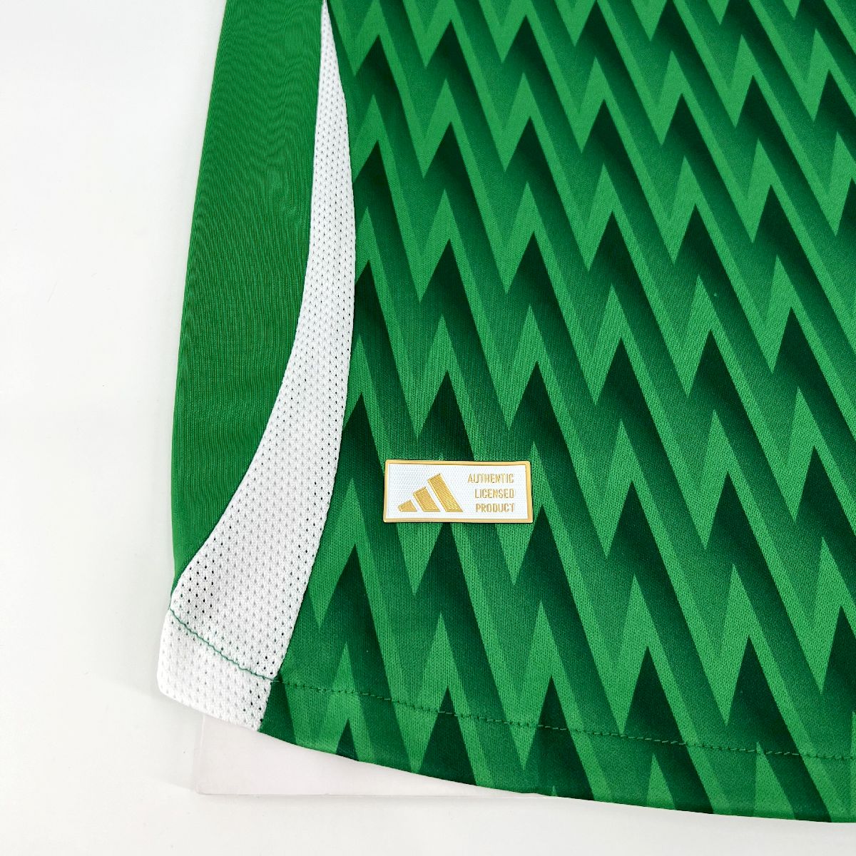 Palmeiras 2024/25 Camisola Especial Verde Versão Jogador – Homem