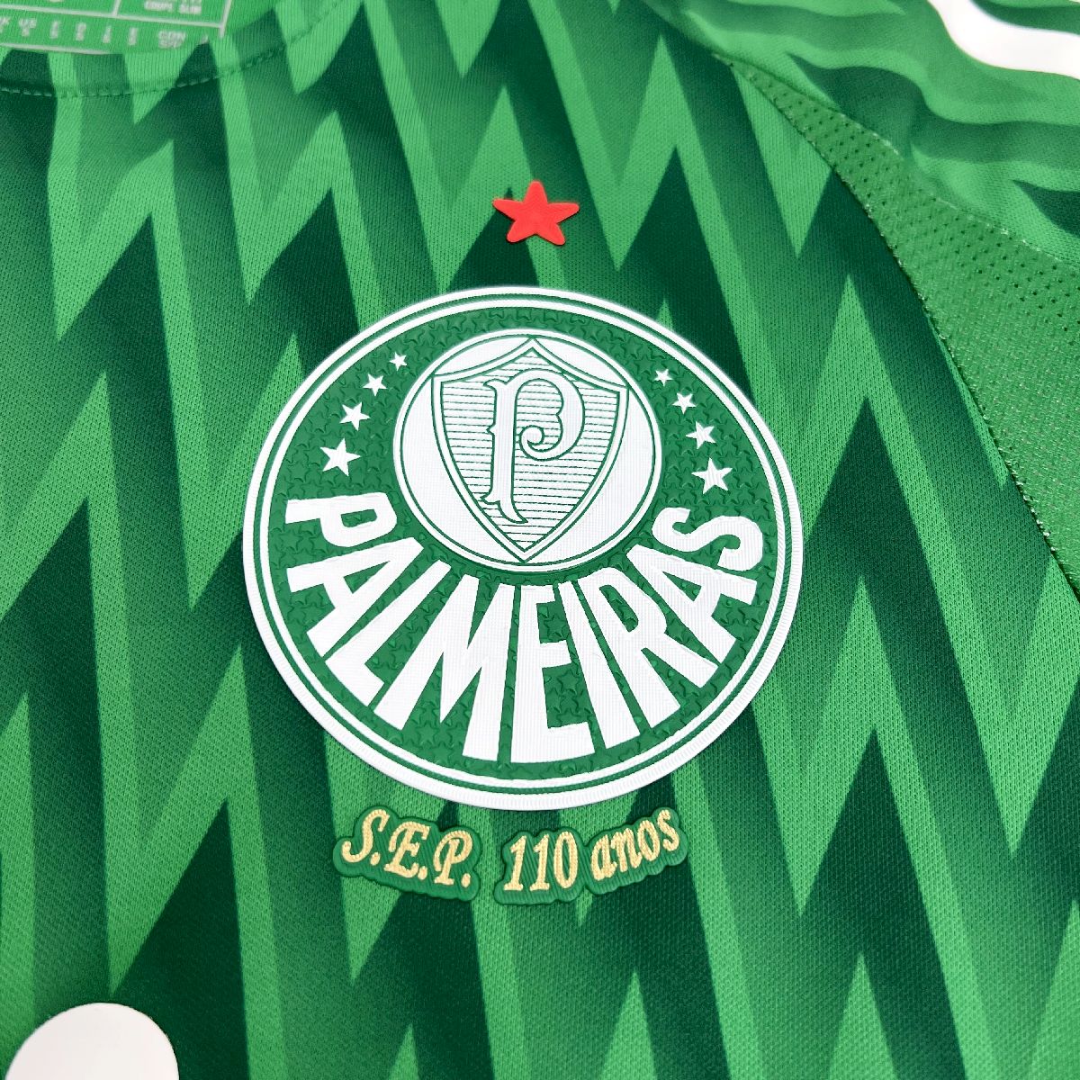 Palmeiras 2024/25 Camisola Especial Verde Versão Jogador – Homem