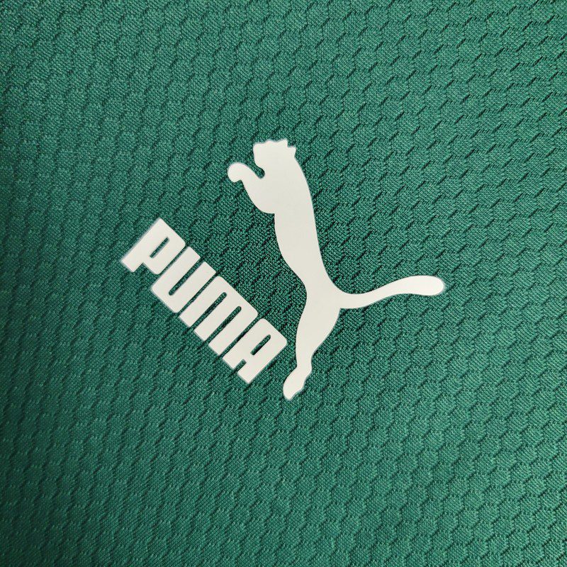 Palmeiras 2023/24 Camisola de Pré-Jogo – Homem