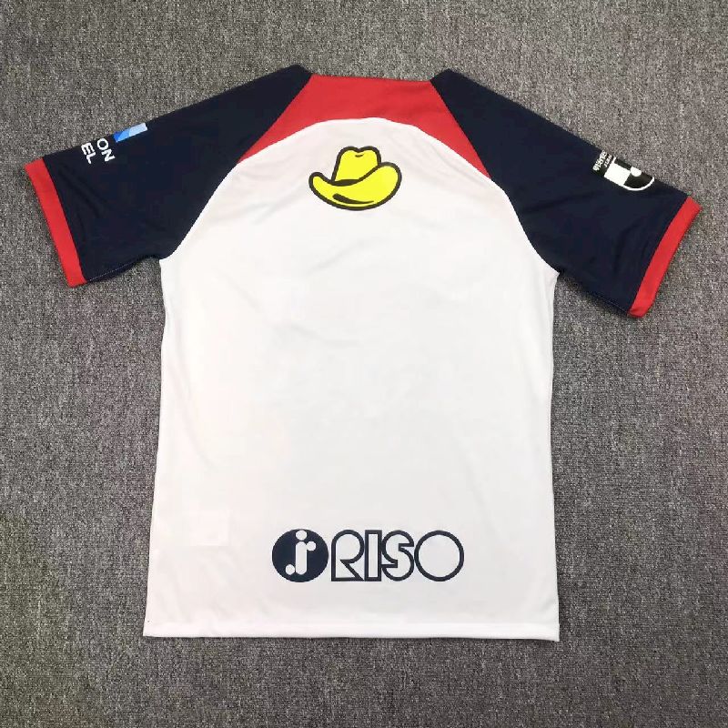 Kashima Antlers 2024/25 Camisola Alternativa