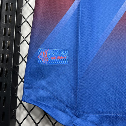 Bahia 2024/25 Camisola Alternativa – Homem
