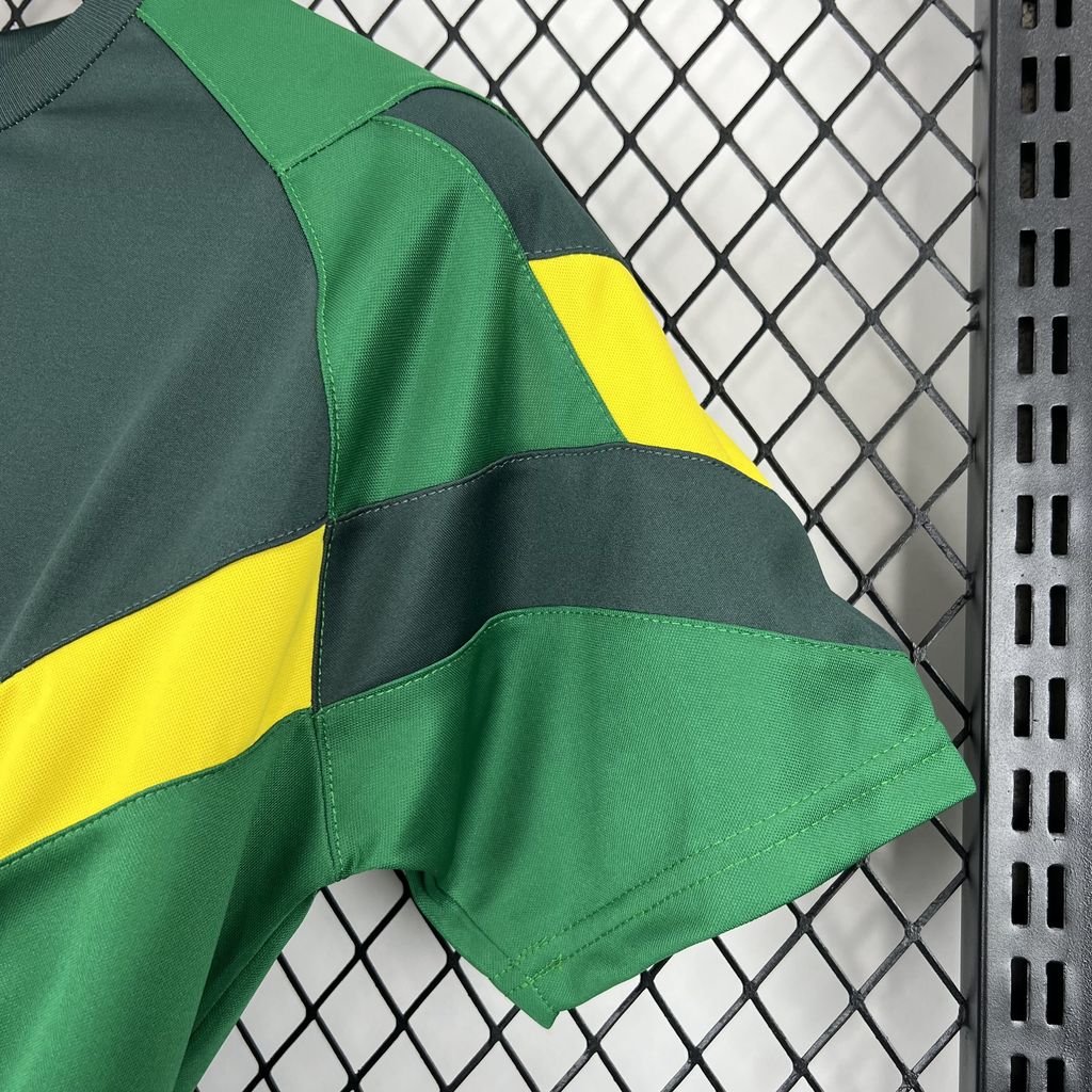 Celtic 2024/25 Camisola Especial – Homem