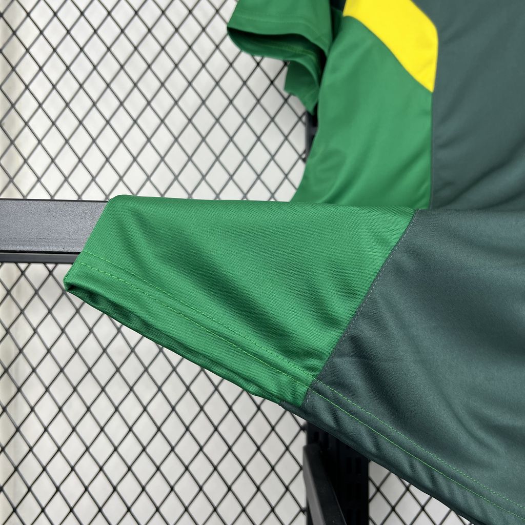 Celtic 2024/25 Camisola Especial – Homem