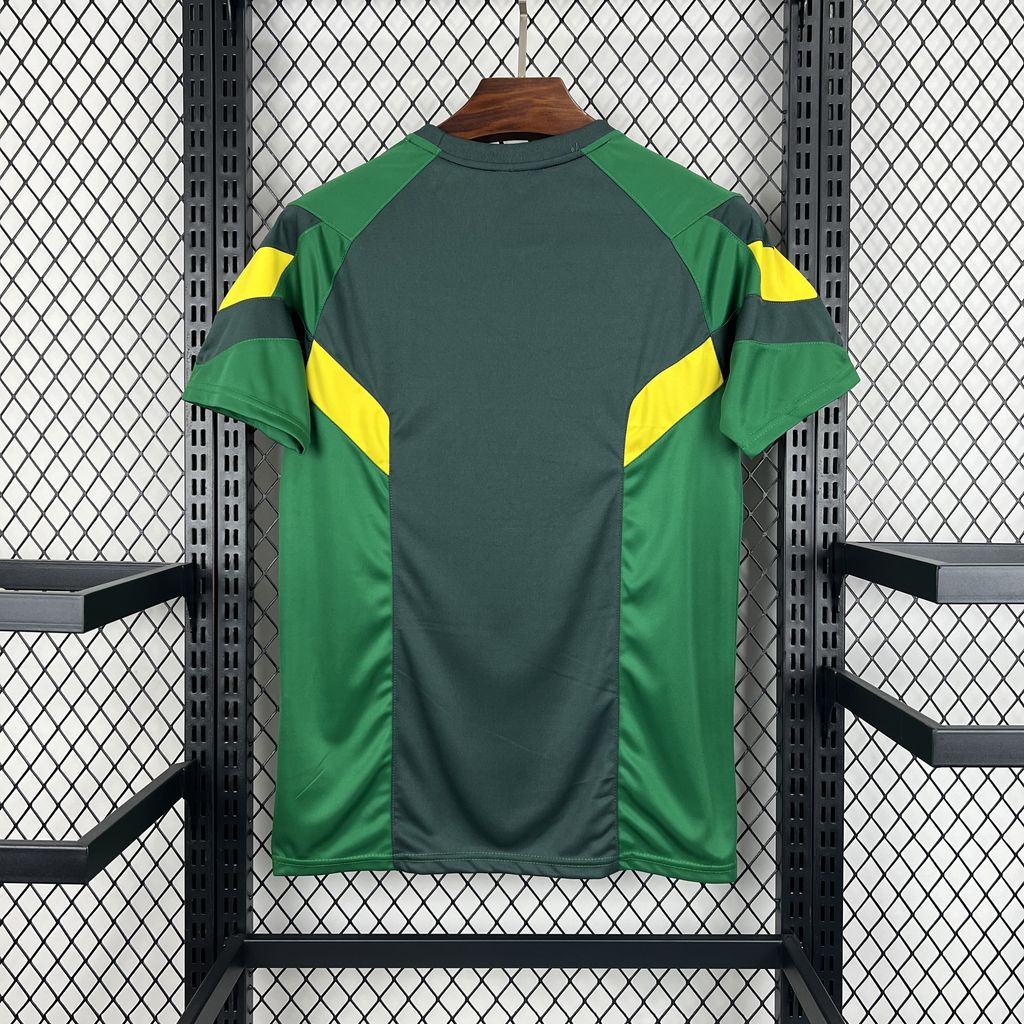 Celtic 2024/25 Camisola Especial – Homem