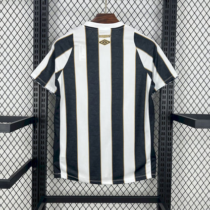 Santos 2024/25 Camisola Alternativa – Homem