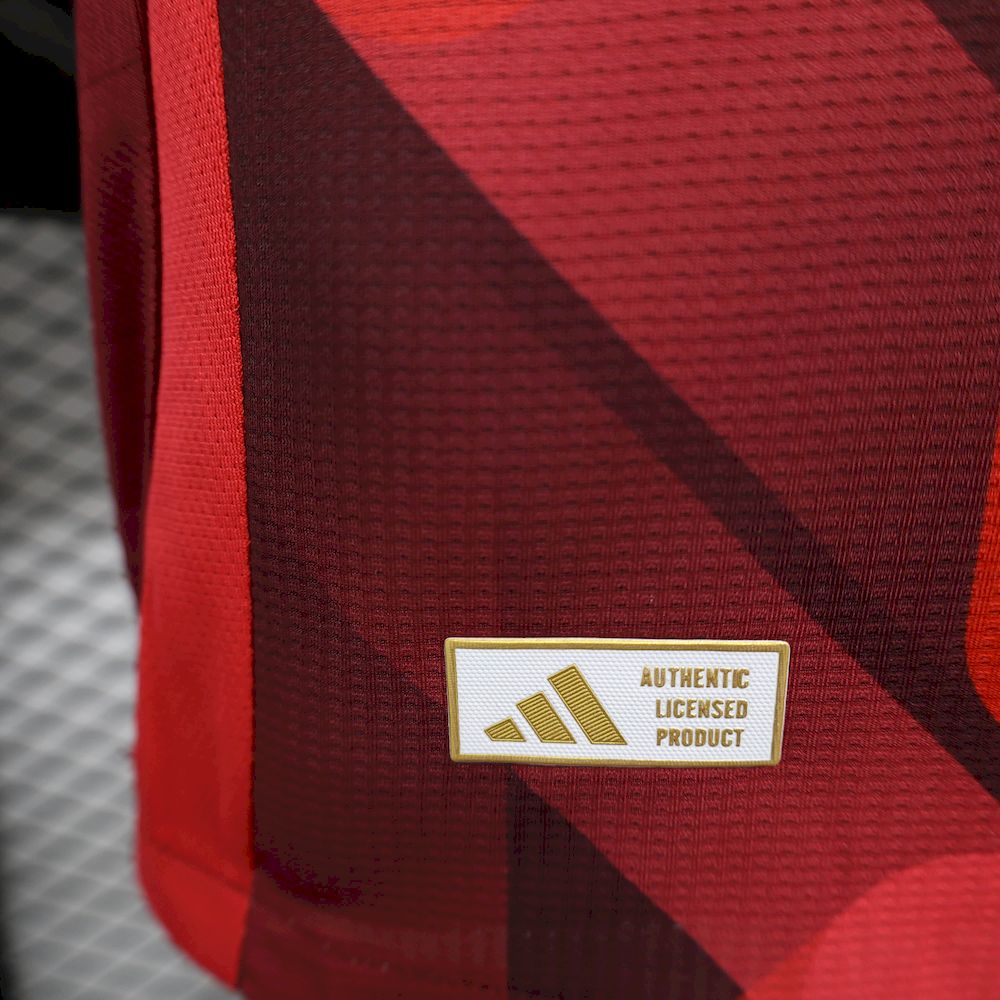 Alemanha 2025/26 Camisola Alternativa Women's Euro Versão Jogador – Homem