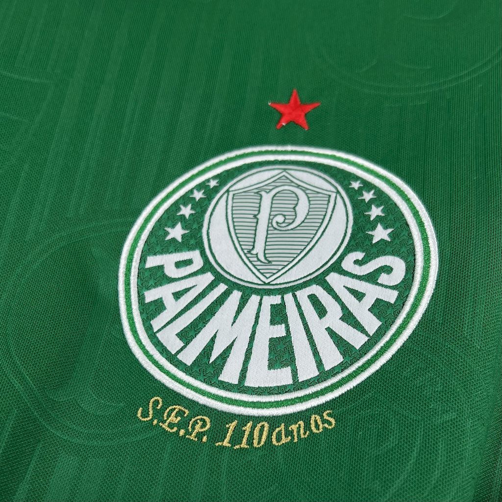 Palmeiras 2023/24 Camisola X STUSSY – Homem