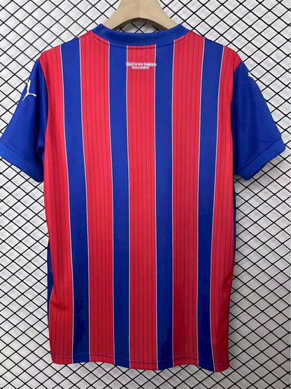 Bahia 2025/26 Camisola Alternativa – Homem