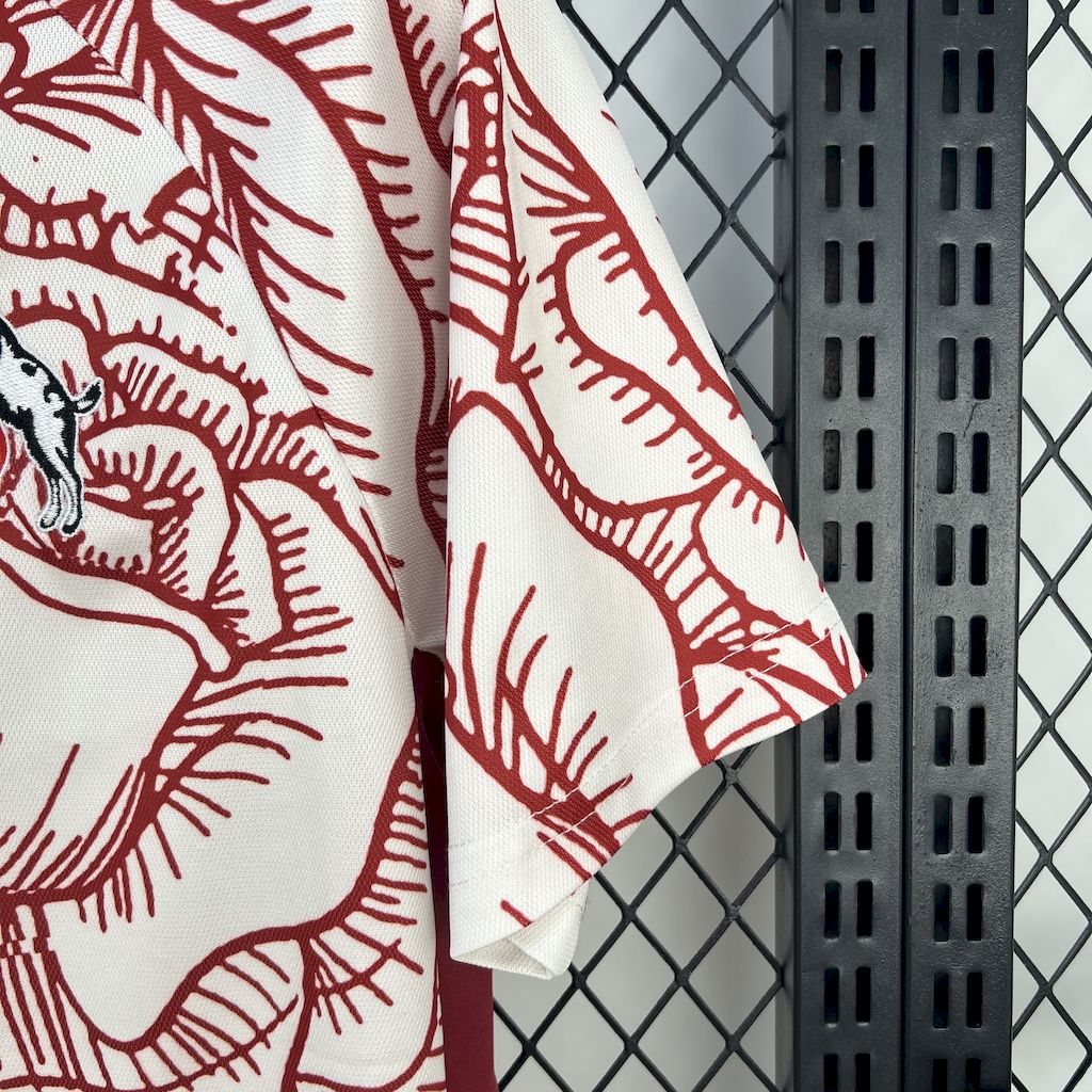 1. FC Köln 2025/26 Camisola Especial – Homem