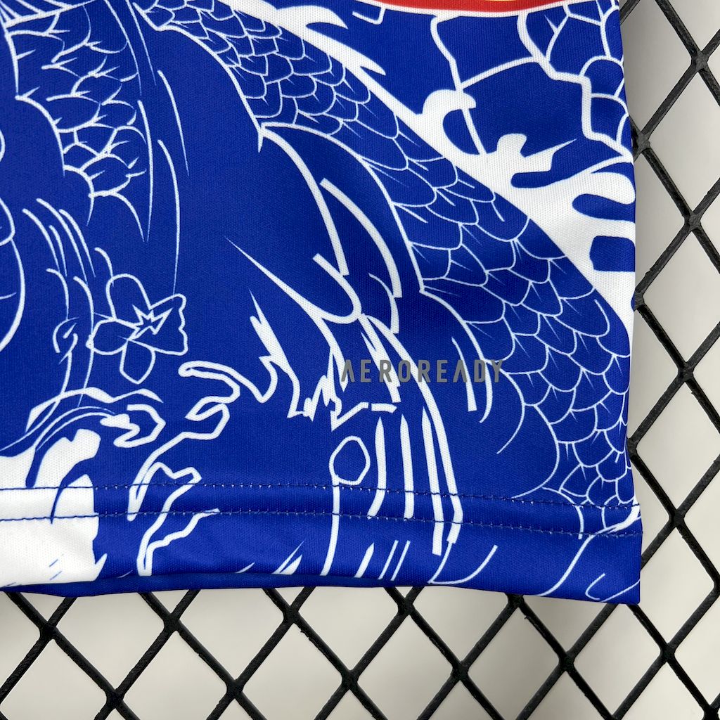 Fortuna Düsseldorf 2024/25 Camisola Especial – Homem
