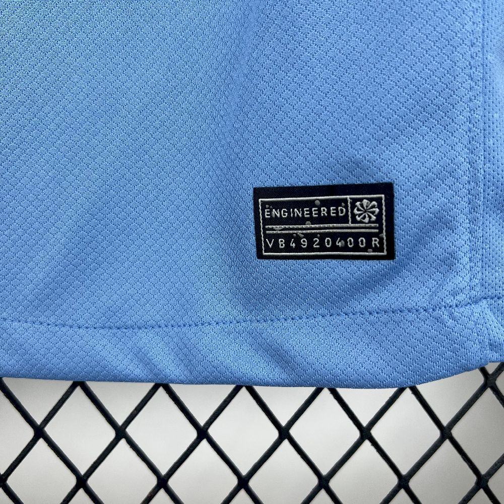 Países Baixos 2025/26 Camisola Alternativa – Homem