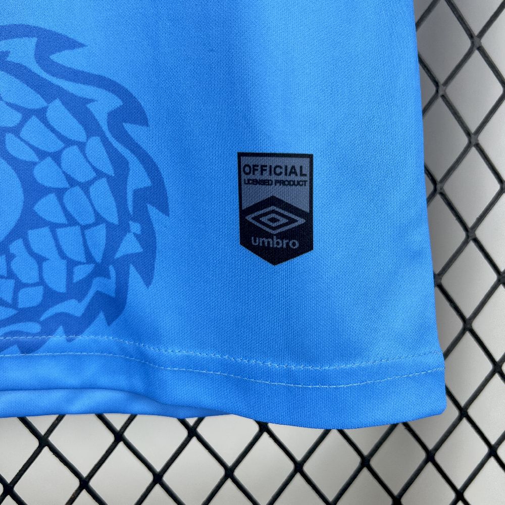 Santos 2025/26 Camisola Especial Azul Dragon – Homem