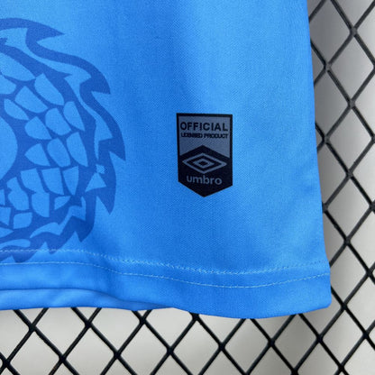Santos 2025/26 Camisola Especial Azul Dragon – Homem