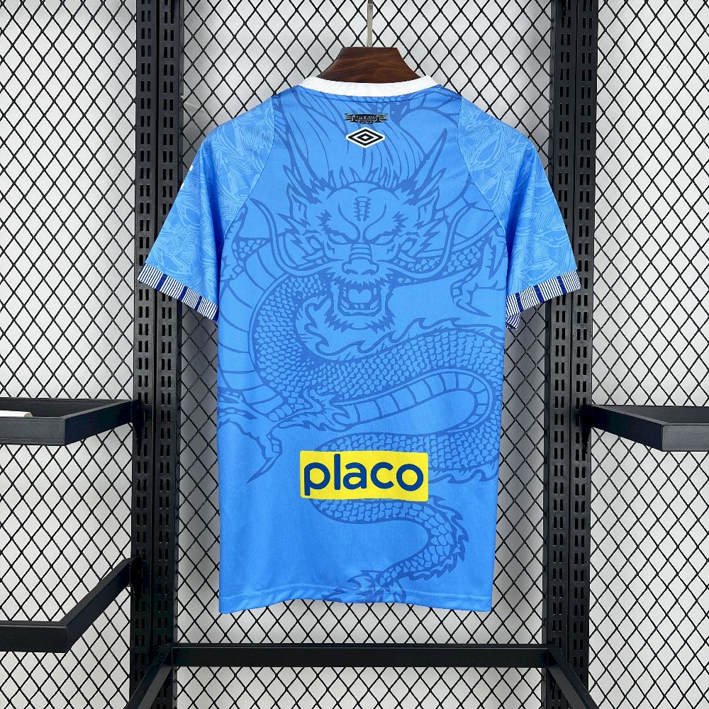 Santos 2025/26 Camisola Especial Azul Dragon – Homem