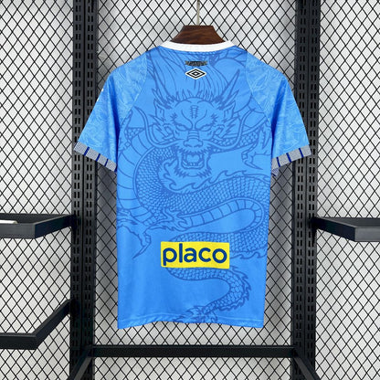 Santos 2025/26 Camisola Especial Azul Dragon – Homem