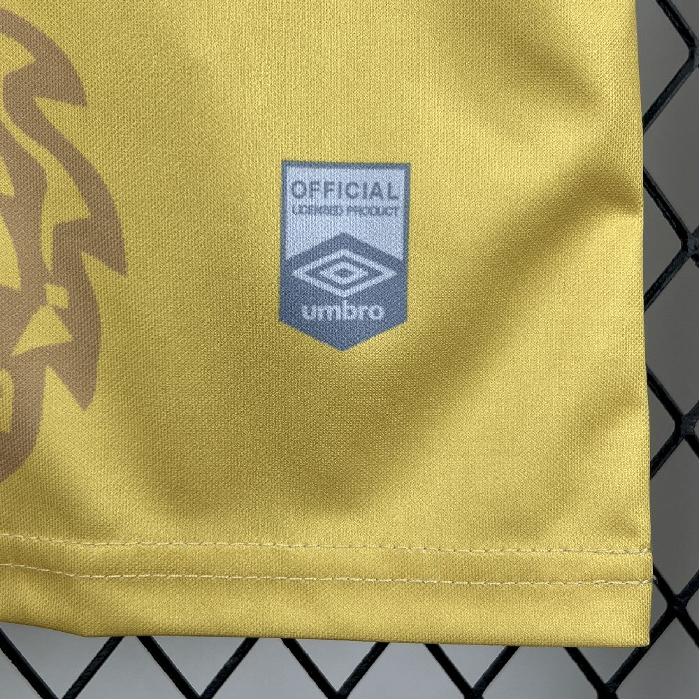 Santos 2025/26 Camisola Especial Golden Dragon – Homem