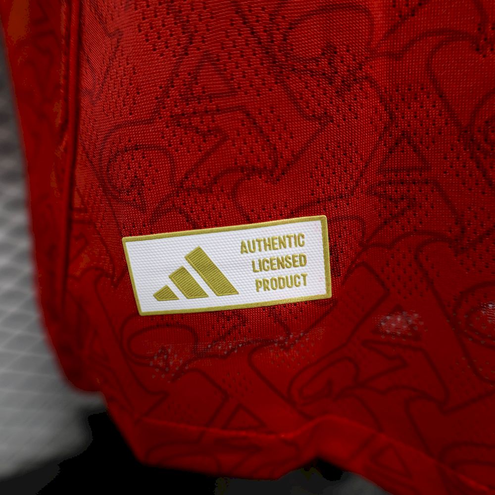 Arsenal 2025/26 Camisola Principal de Manga Comprida Versão Jogador – Homem