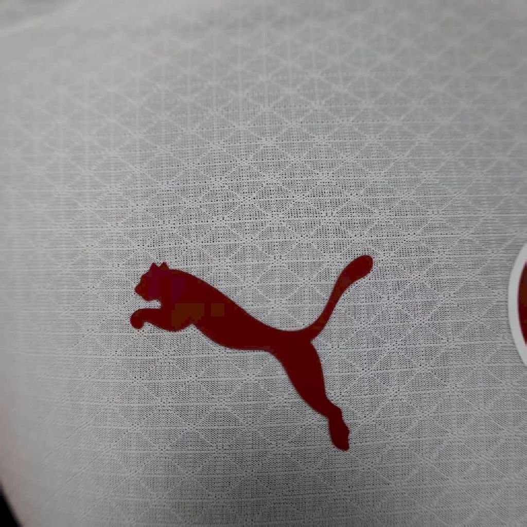 Galatasarays 2025/26 Camisola Alternativa Versão Jogador – Homem