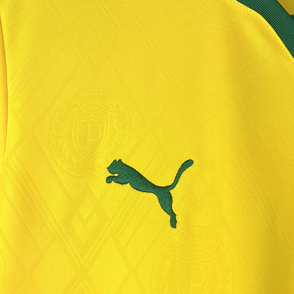 Palmeiras 2025/26 Camisola Terceira – Homem