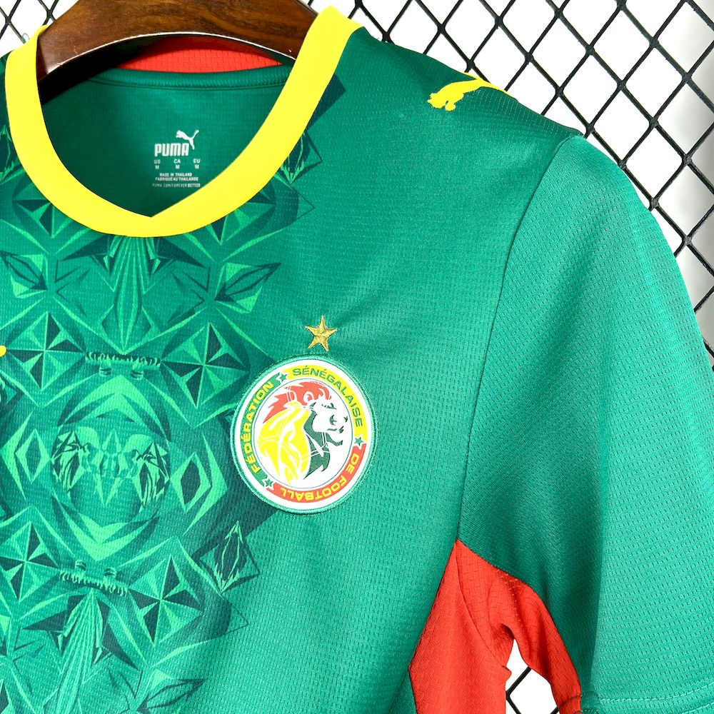Senegal 2026 Camisola Alternativa Mundial – Homem