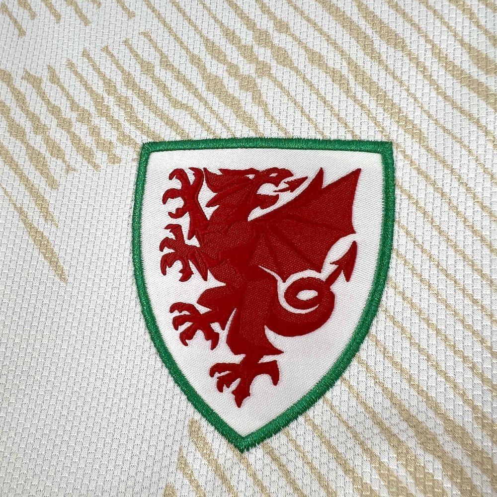 País de Gales 2026 Camisola Alternativa Mundial – Homem