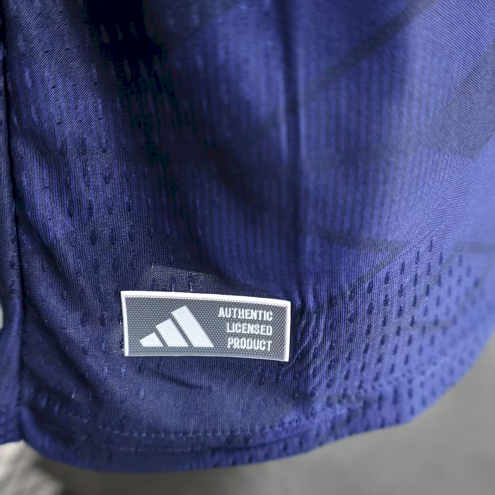 Escócia 2026 Camisola Principal Versão Jogador – Homem
