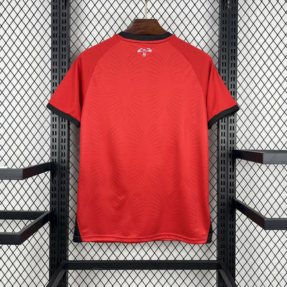 Jordan 2026 Camisola Alternativa Mundial – Homem