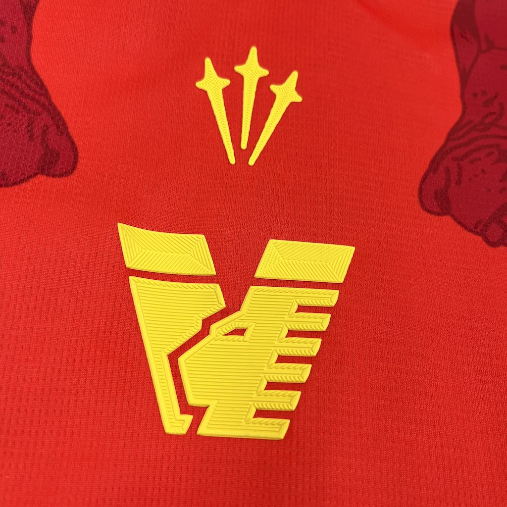 Venezia FC 2025/26 Camisola Especial – Homem