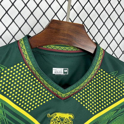 Mali 2026 Camisola Alternativa – Homem
