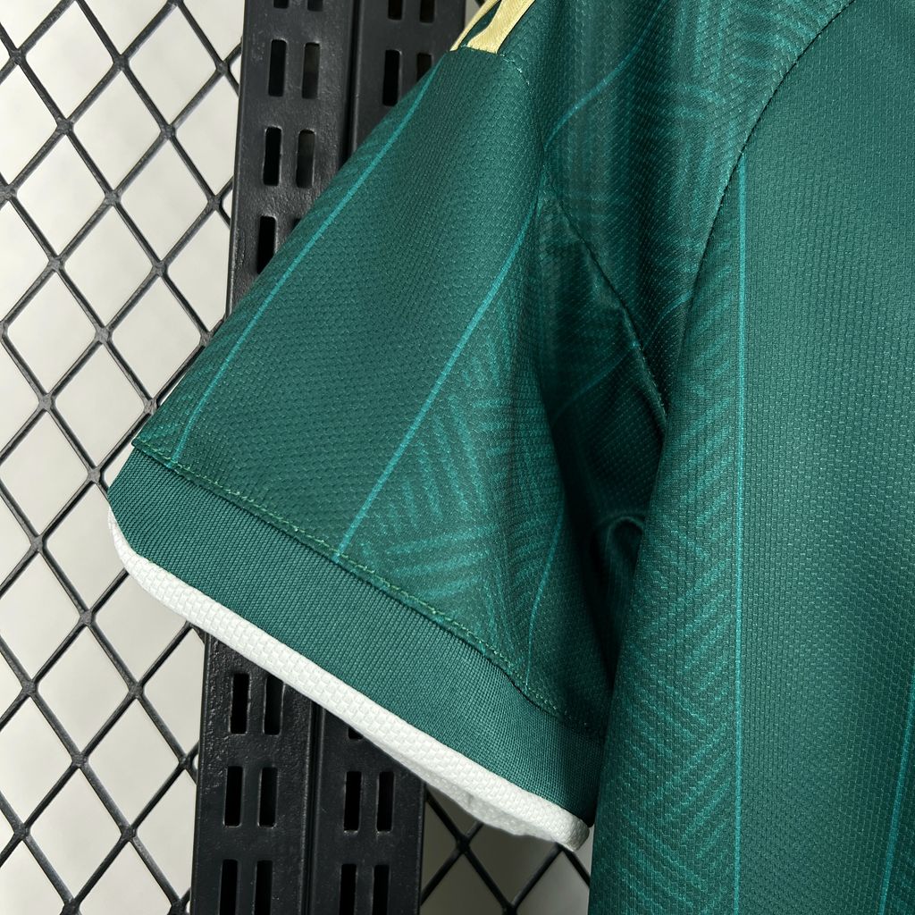 África do Sul 2026 Camisola Alternativa Mundial – Homem