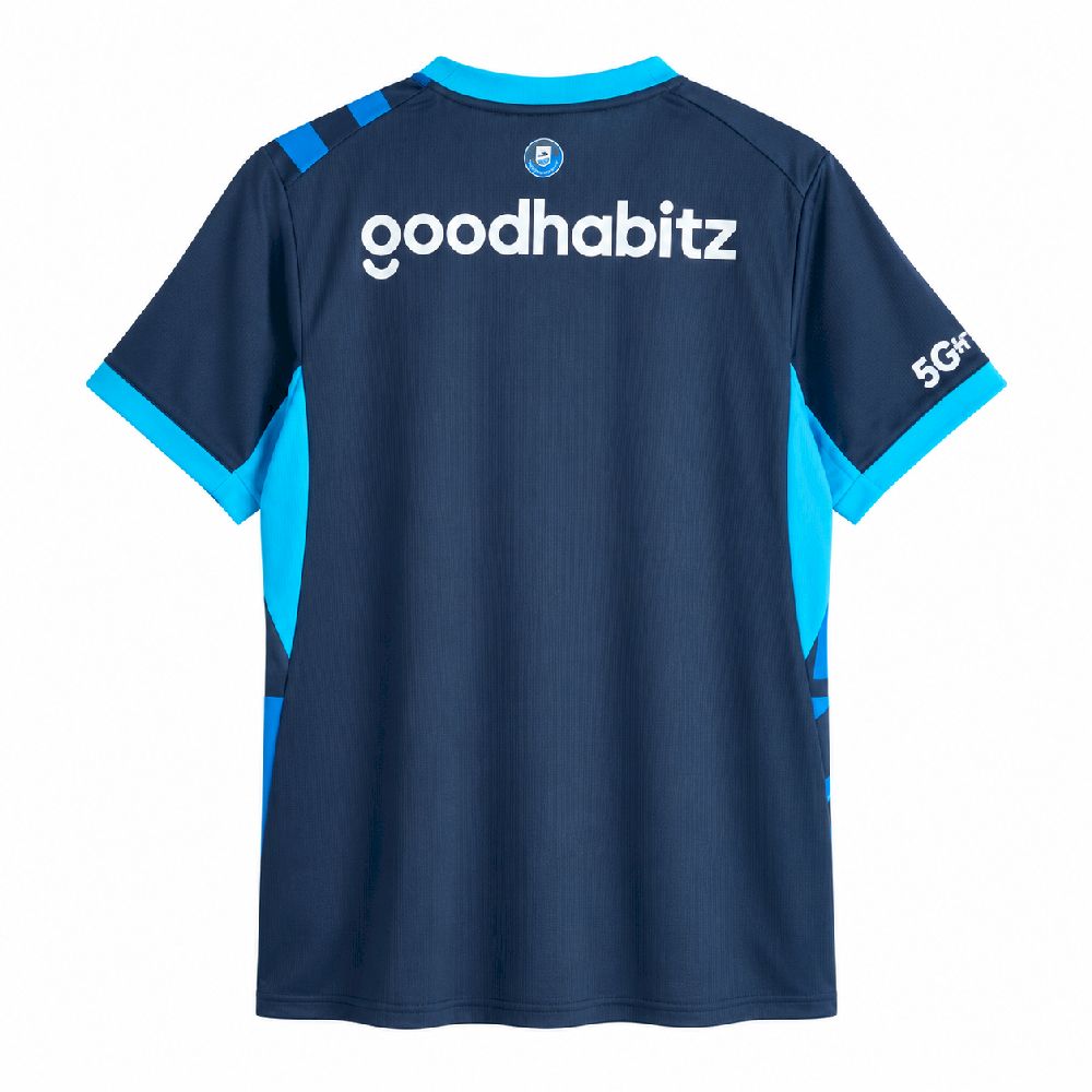PSV Eindhoven 2026/27 Camisola Terceira – Homem