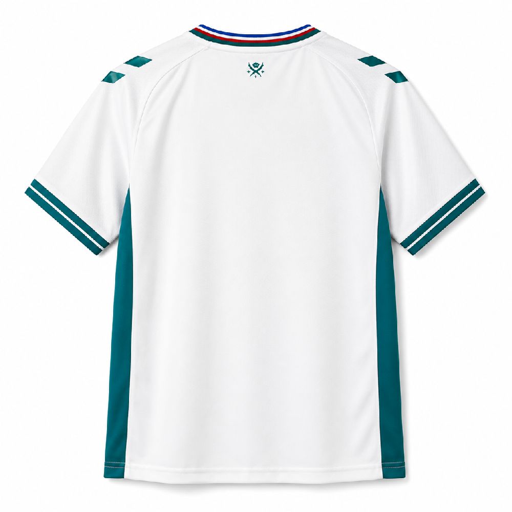 AS Saint-Etienne 2026/27 Camisola Alternativa – Homem