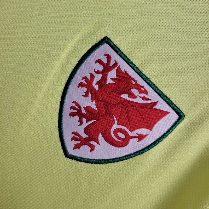 País de Gales 2024/25 Camisola Principal Euro – Homem