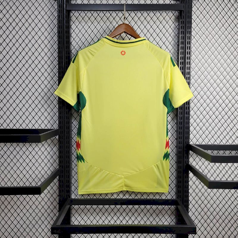 País de Gales 2024/25 Camisola Principal Euro – Homem