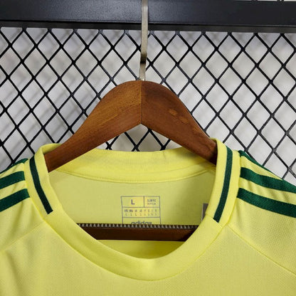 País de Gales 2024/25 Camisola Principal Euro – Homem