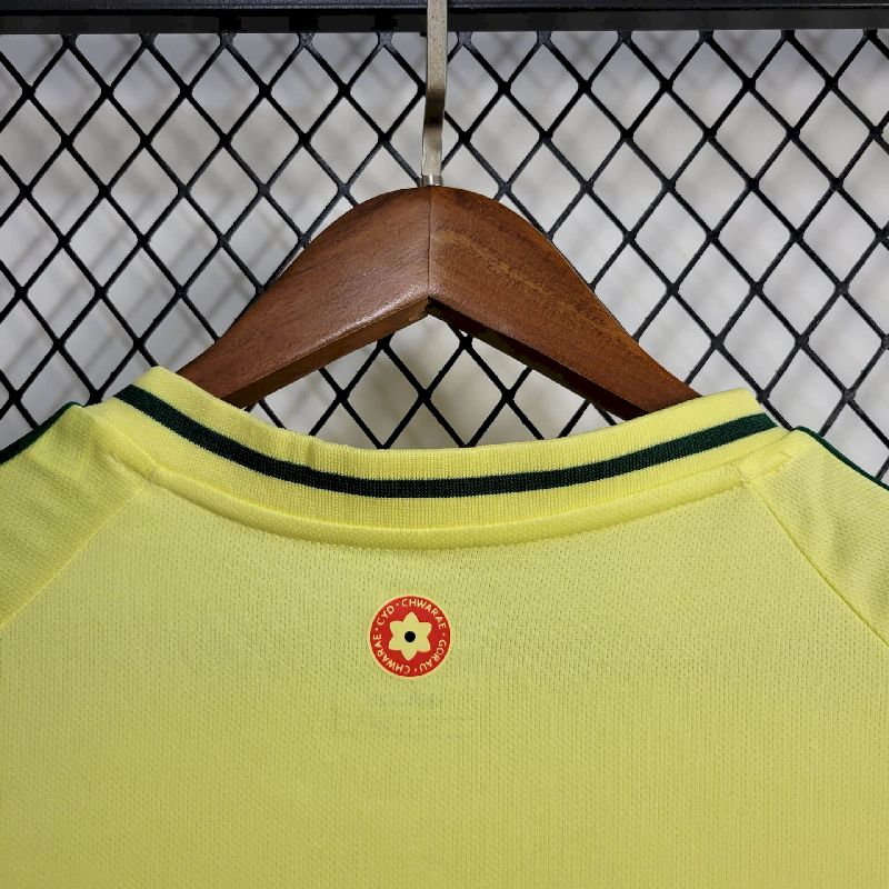 País de Gales 2024/25 Camisola Principal Euro – Homem