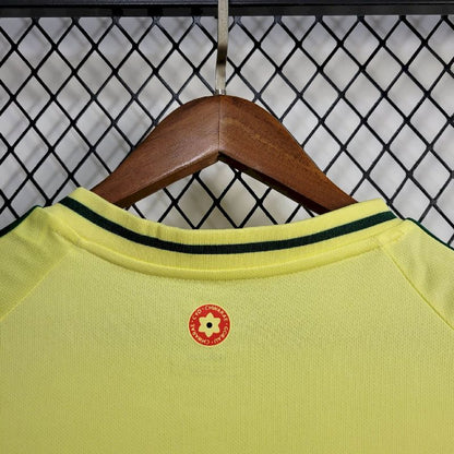 País de Gales 2024/25 Camisola Principal Euro – Homem