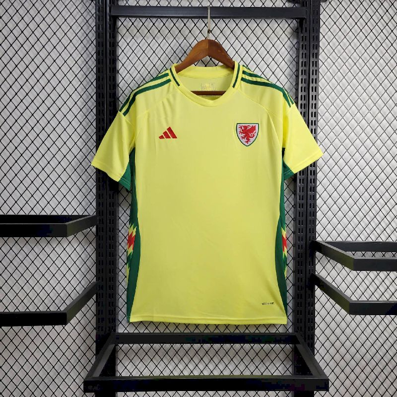 País de Gales 2024/25 Camisola Principal Euro – Homem