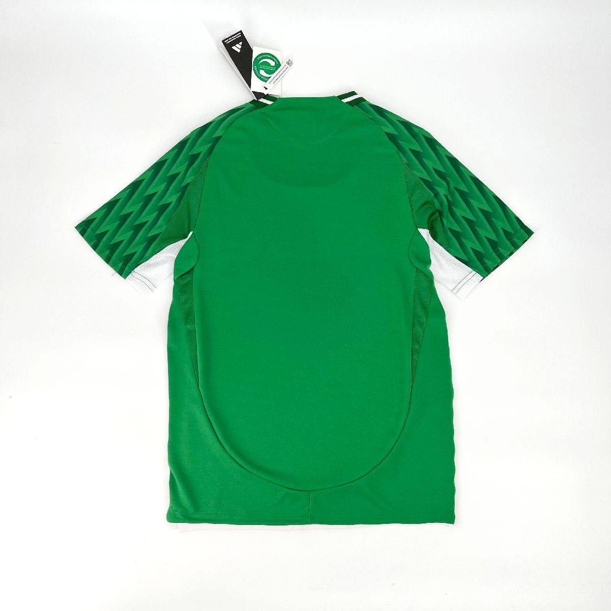 Palmeiras 2024/25 Camisola Especial Verde Versão Jogador – Homem