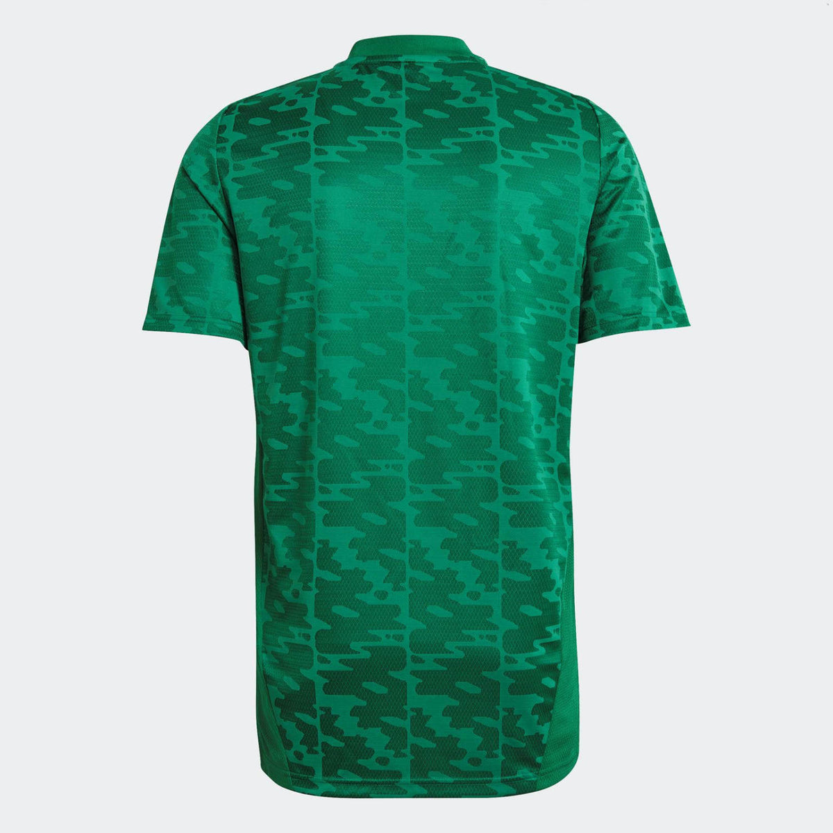 Argélia 2021 Camisola Alternativa – Homem