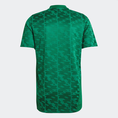 Argélia 2021 Camisola Alternativa – Homem