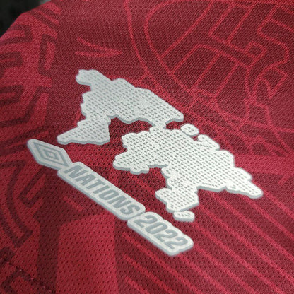 Fluminense 2023/24 Camisola Terceira Boutique – Homem