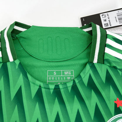 Palmeiras 2024/25 Camisola Especial Verde Versão Jogador – Homem